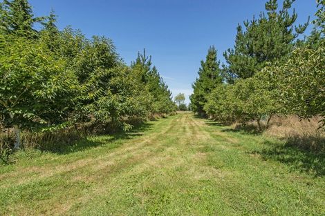 Photo of property in 337 Foothills Road, Okuku, Rangiora, 7473