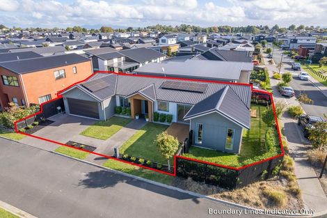 Photo of property in 31 Couldsack Avenue, Chartwell, Hamilton, 3210