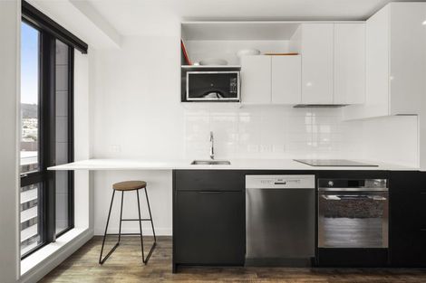 Photo of property in Vsp South, 1102/168 Victoria Street, Te Aro, Wellington, 6011