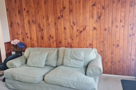 Photo of property in 33 Collingwood Street, Hokowhitu, Palmerston North, 4410