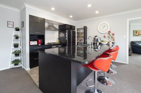 Photo of property in 16 Geoff Geering Drive, Netherby, Ashburton, 7700