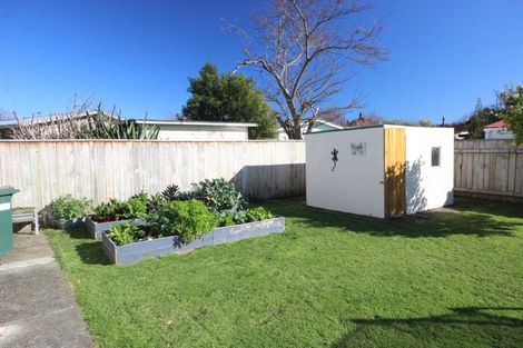 Photo of property in 26 Mokau Place, Terrace End, Palmerston North, 4410