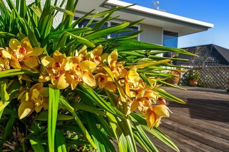 Photo of property in 269 Songer Street, Stoke, Nelson, 7011