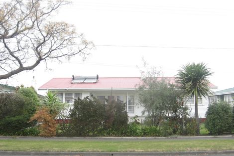 Photo of property in 95 Geddis Avenue, Maraenui, Napier, 4110