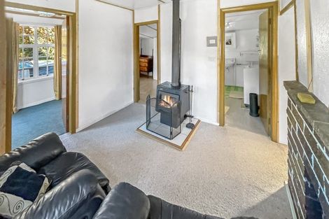 Photo of property in 42 Leven Street, Naseby, 9396