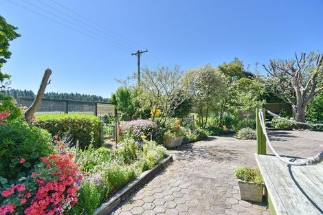 Photo of property in 50 Grierson Avenue, Amberley, 7481