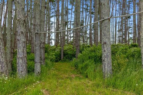 Photo of property in 74 Brookvale Lane, Taupaki, 0782