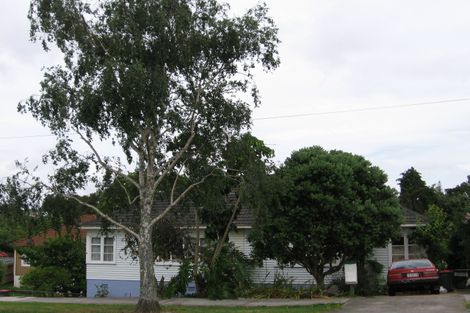 Photo of property in 33 Tasman Avenue, Mount Albert, Auckland, 1025