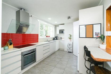 Photo of property in 110 Limbrick Street, Terrace End, Palmerston North, 4410