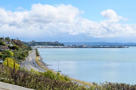 Photo of property in 3 Chamerion Way, Atawhai, 7010