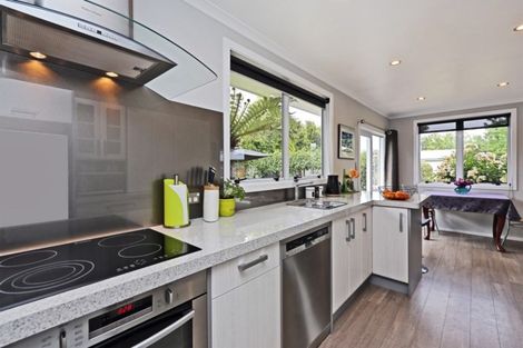 Photo of property in 229a Kenilworth Road, Mayfair, Hastings, 4122