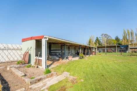 Photo of property in 73 London Street, Hampden, 9410