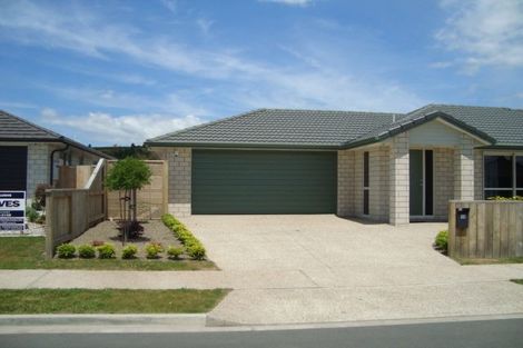 Photo of property in 15 North Bay Road, Pyes Pa, Tauranga, 3112
