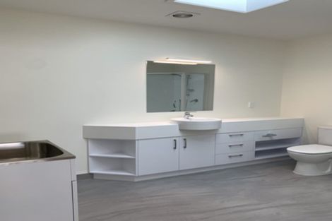 Photo of property in 2 Couldry Street, Eden Terrace, Auckland, 1021