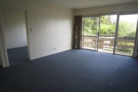 Photo of property in 45 York Street, Hamilton East, Hamilton, 3216