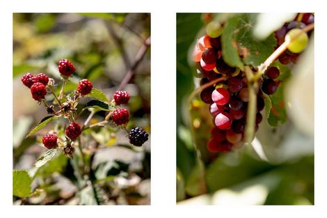 Photo of property in 7 Ratima Place, Whakatane, 3120