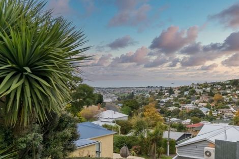 Photo of property in 11 Henderson Street, Mornington, Dunedin, 9011