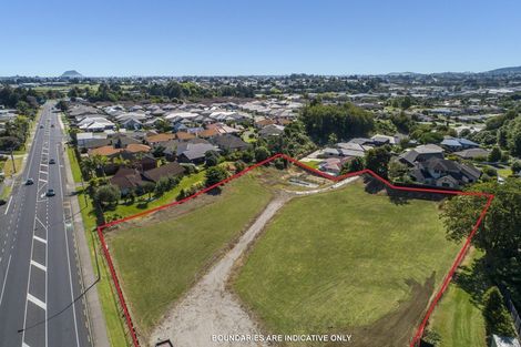 Photo of property in 49 Pyes Pa Road, Pyes Pa, Tauranga, 3112