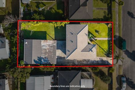 Photo of property in 52 Zelda Avenue, Clover Park, Auckland, 2023