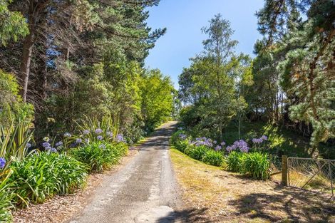 Photo of property in 115 Otaihanga Road, Otaihanga, Paraparaumu, 5036