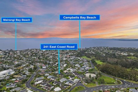 Photo of property in 241 East Coast Road, Mairangi Bay, Auckland, 0630