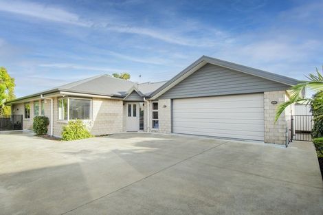Photo of property in 99 Solomon Street, Brookfield, Tauranga, 3110
