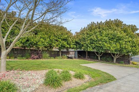 Photo of property in 3983 Ohaupo Road, Ohaupo, 3881