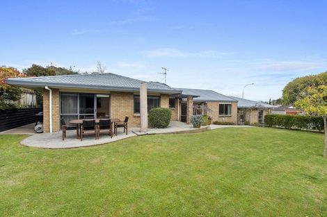 Photo of property in 13 Parkview Avenue, Western Heights, Hamilton, 3200