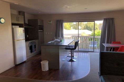 Photo of property in 17a Carey Street, Maeroa, Hamilton, 3200