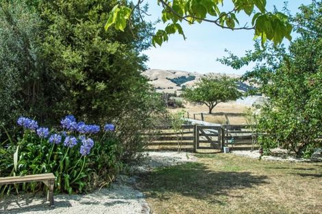 Photo of property in 1447 Martinborough Masterton Road, Gladstone, Masterton, 5884