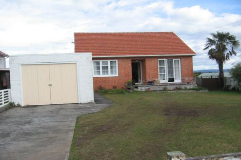 Photo of property in 55 Carey Street, Maeroa, Hamilton, 3200