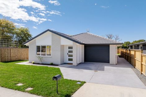 Photo of property in 25 Mural Drive, Katikati, 3129