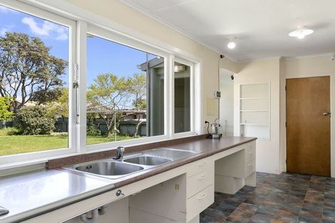 Photo of property in 53 Scannell Street, Taupo, 3330