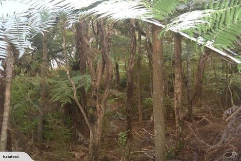 Photo of property in 82 Kaiatea Road, Ngunguru, Whangarei, 0173