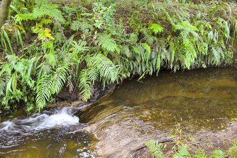 Photo of property in 57 Snowden Street, Ohauiti, Tauranga, 3112