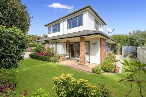 Photo of property in 64b Sixteenth Avenue, Tauranga South, Tauranga, 3112