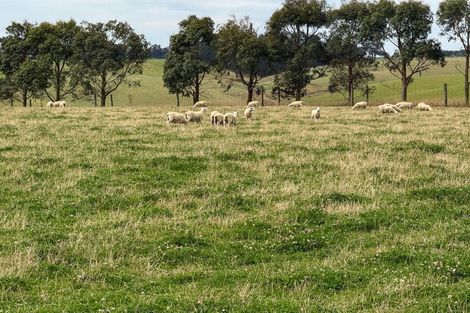 Photo of property in 10 Four Mile Creek Road, Te Houka, Balclutha, 9273