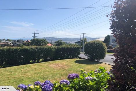 Photo of property in 222 Highcliff Road, Shiel Hill, Dunedin, 9013