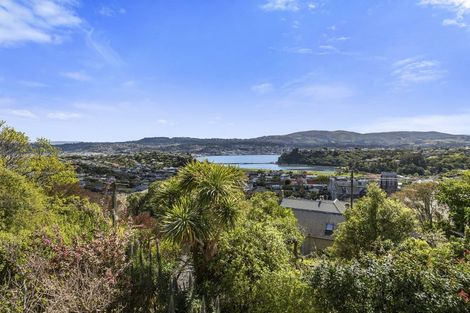 Photo of property in 8 Merchiston Street, Andersons Bay, Dunedin, 9013
