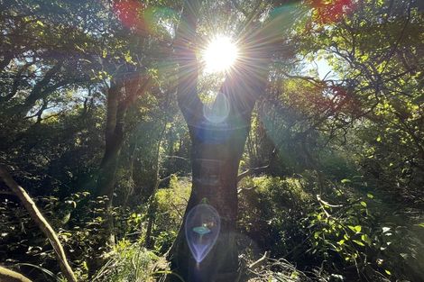 Photo of property in 14 Tarata Street, Kaka Point, 9271