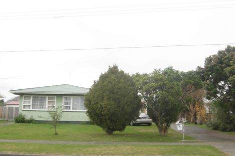 Photo of property in 93 Geddis Avenue, Maraenui, Napier, 4110