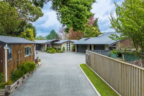 Photo of property in 255 Bankwood Road, Chartwell, Hamilton, 3210