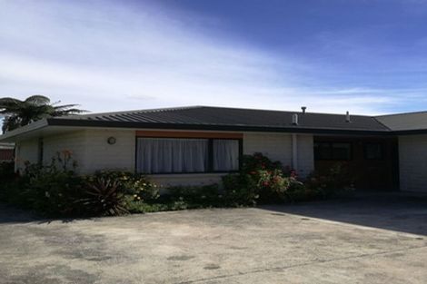 Photo of property in 32 Salisbury Street, Levin, 5510