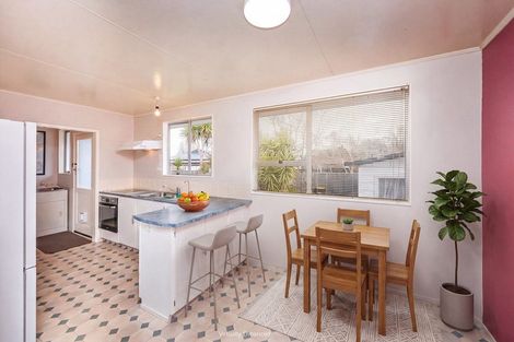 Photo of property in 29 Ferndale Place, Feilding, 4702