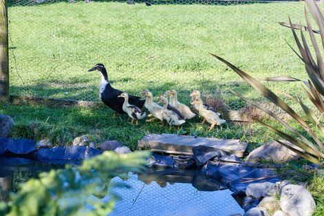 Photo of property in 373 State Highway 1, Kaikoura Flat, Kaikoura, 7371