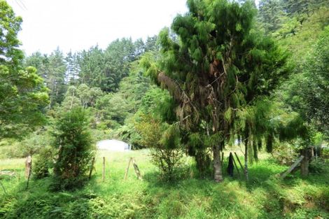 Photo of property in 340 Tutaetoko Road, Toatoa, Opotiki, 3197