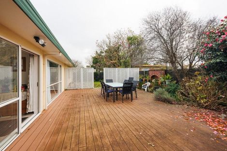 Photo of property in 175a Ferguson Street, West End, Palmerston North, 4412