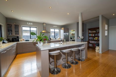 Photo of property in 55 Ludlow Drive, Huntingdon, Ashburton, 7774