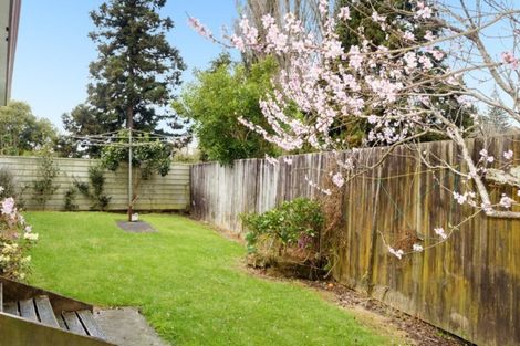 Photo of property in 26 Olivine Street, Poike, Tauranga, 3112