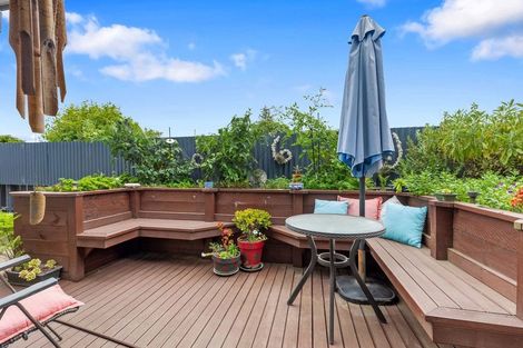 Photo of property in 14a Tutchen Street, Tauranga, 3110